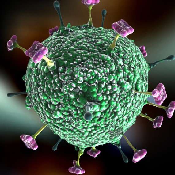 Nipah Virus infection Sign Symptoms Prevention Treatment