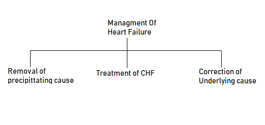 Managment of Heart Failure